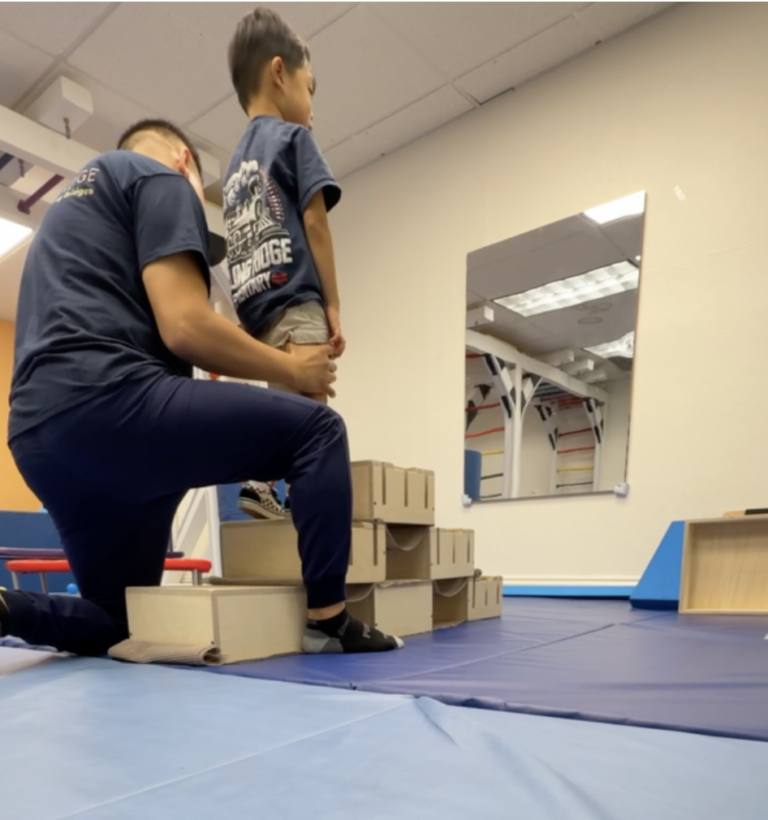 Therapist supporting a child standing on a wooden DMI step.