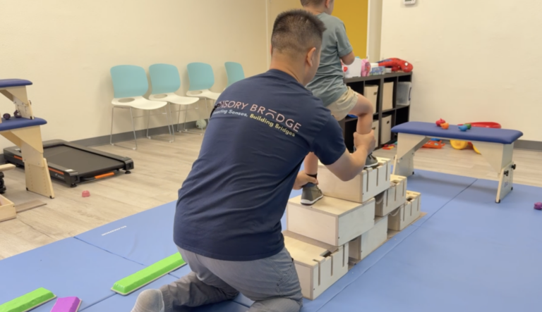 Therapist supporting a child stepping onto stacked DMI boxes.